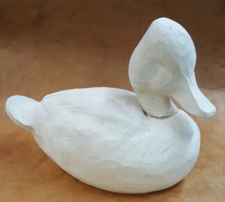 Ring-necked duck head up - Tupelo Roughout
