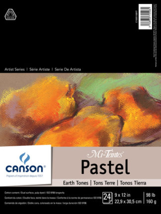 ARTIST SERIES MI-TEINTES EARTHTONE 24 SHEETS 9X12