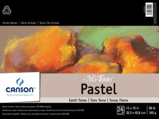 ARTIST SERIES MI-TEINTES EARTHTONE 24 SHEETS 12X16