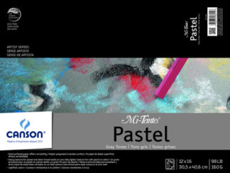 ARTIST SERIES MI-TEINTES GRAY 24 SHEETS 12 X 16