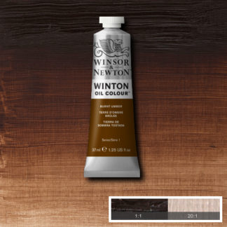 WINTON OIL COLOUR 37ML BURNT UMBER