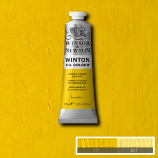 WINTON OIL COLOUR 37ML CADMIUM YELLOW PALE HUE