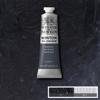 WINTON OIL COLOUR 37ML PAYNES GRAY