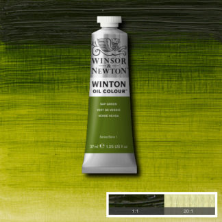 WINTON OIL COLOUR 37ML SAP GREEN