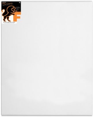 PRO SERIES 12OZ DIXIE STRETCHED CANVAS 48X60 1-3/8 BARS