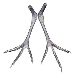 Cast Feet- Heron, Green