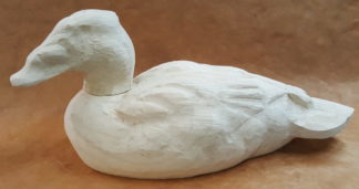 Surf Scoter drake head up - Tupelo Roughout
