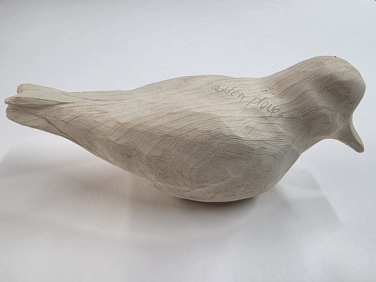 Plover, Golden tupelo roughout by Jeffery Moore