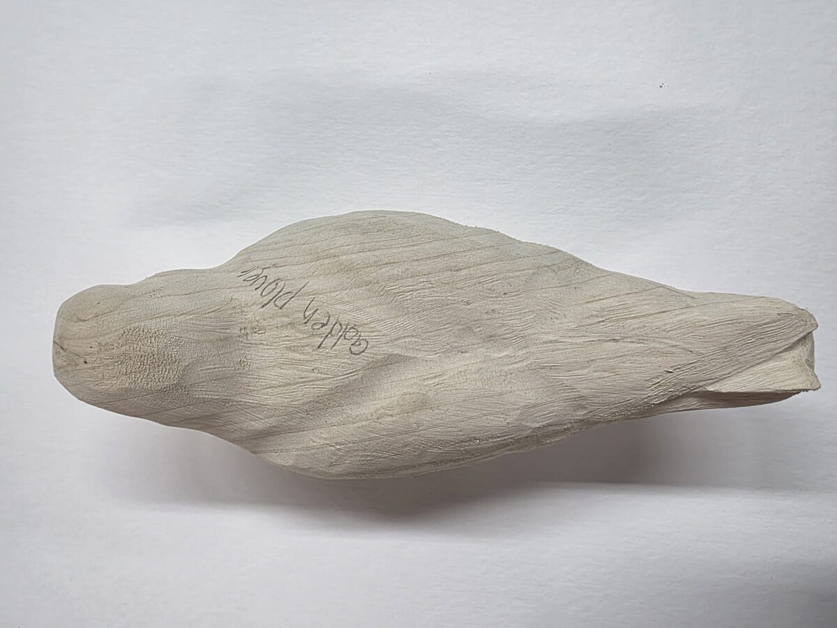 Plover, Golden tupelo roughout by Jeffery Moore - Image 2