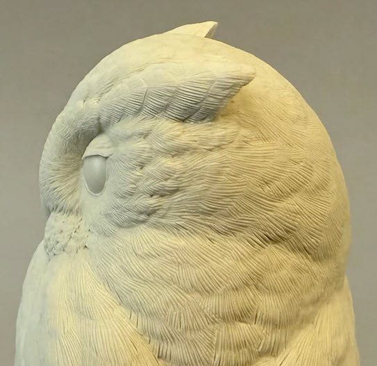Owl, Screech Owl - Full size Josh Guge study cast - Image 4
