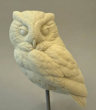 Owl, Screech Owl - Full size Josh Guge study cast