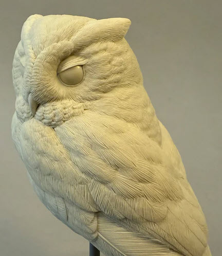 Owl, Screech Owl - Full size Josh Guge study cast - Image 3