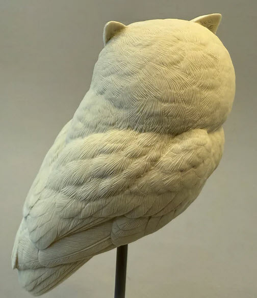Owl, Screech Owl - Full size Josh Guge study cast - Image 2
