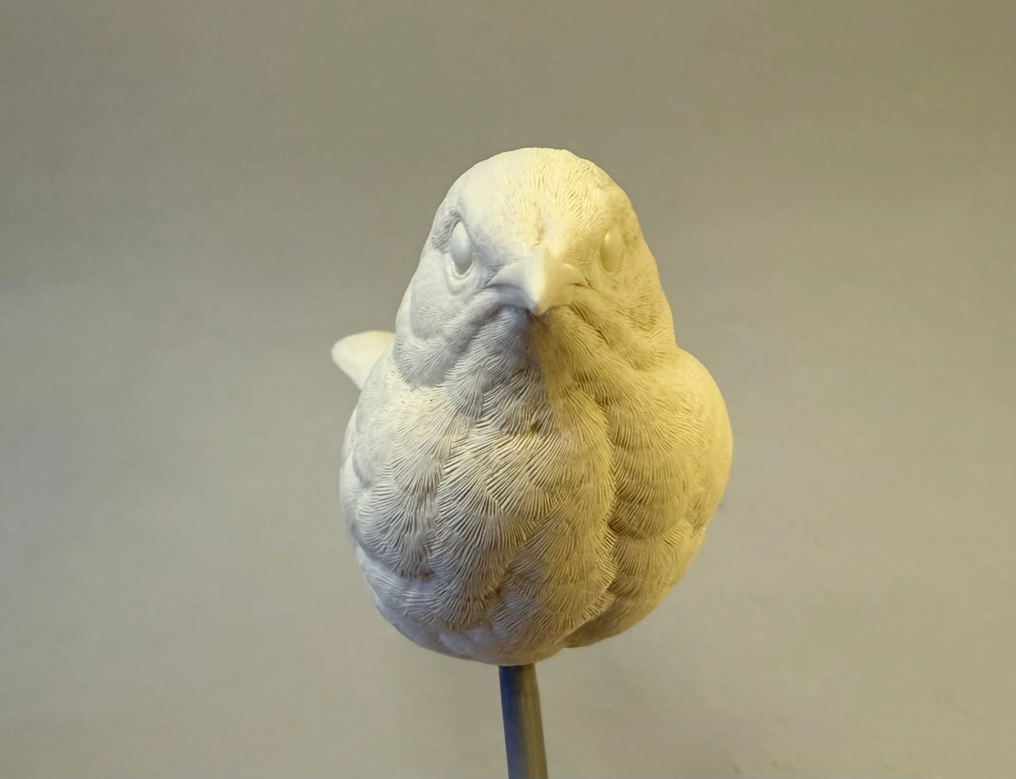 Brown Thrasher full size Josh Guge study cast - Image 2