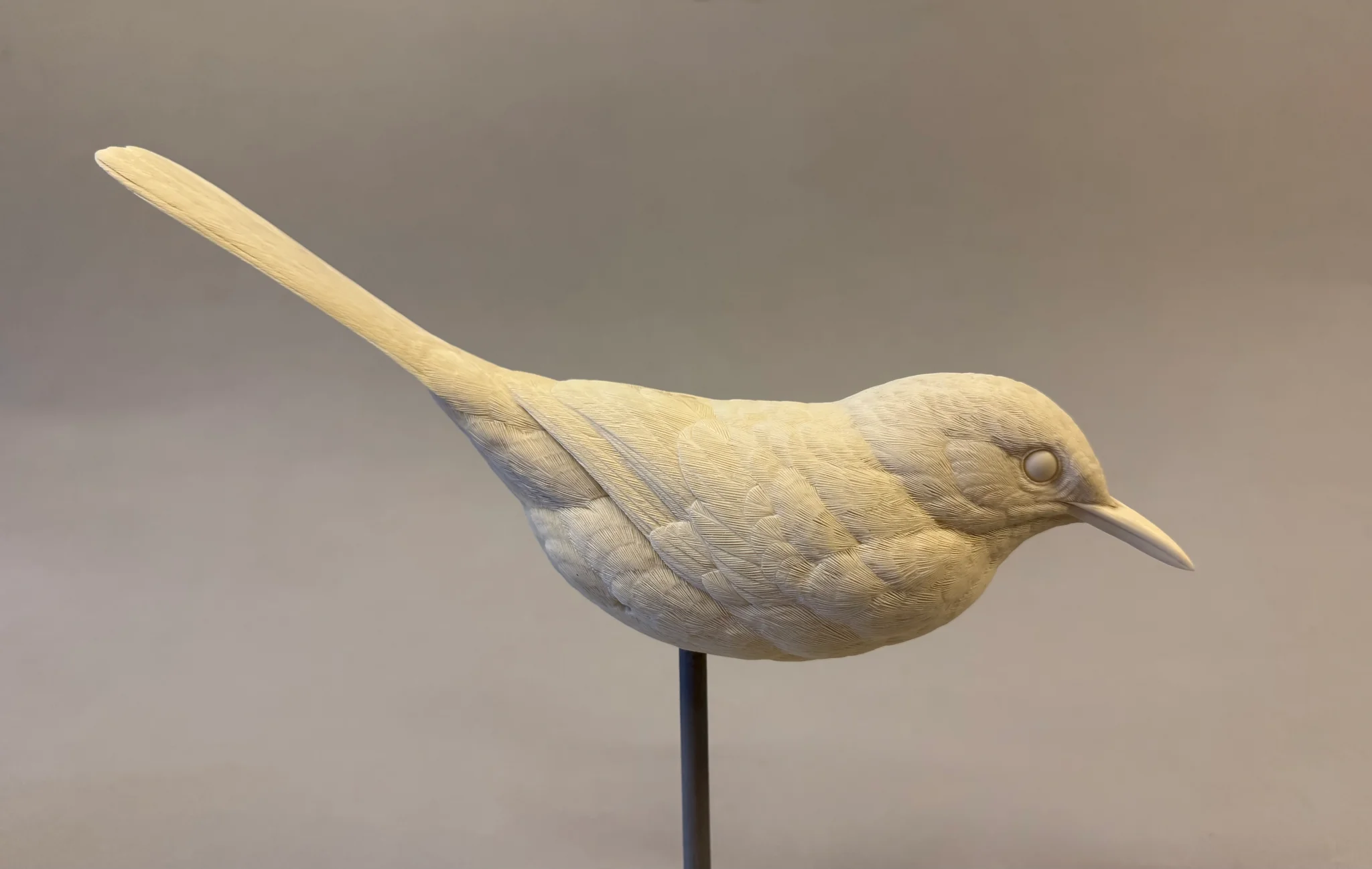 Brown Thrasher full size Josh Guge study cast